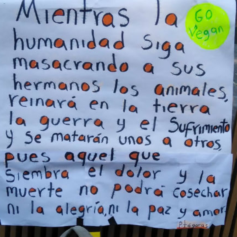 animales7